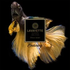 Lavayette Premium Wasparfum - Proefpakket 9x25ml - Geurbooster -Schone Winkel 1200x1200 577