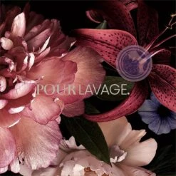 Lavayette Premium Wasparfum - Jasmin Shades - Geurbooster 500ml (Diamante) 14 Lavayette Premium Wasparfum - Jasmin Shades - Geurbooster 500ml (Diamante) -Schone Winkel 1200x1200 605