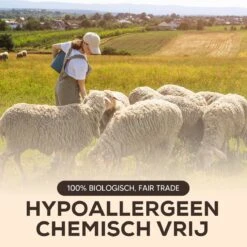 Drogerballen - Droogballen - Wasdrogerballen - Dryerballs - 6 Stuks - XL Formaat - Wol - Set -Schone Winkel 1200x1200 812