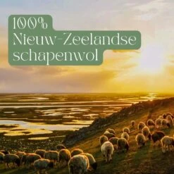 Miki's Goods® XL Wollen Drogerballen 6 Stuks - Panda Wasballen - Duurzaam - Wasbol - 100% Nieuw-Zeelandse Schapenwol - Wasbollen - Herbruikbaar- Droogballen - Snellere Droogtijd - Zuigt Dierenharen Op -Schone Winkel 1200x1200 828