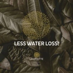 Lavayette XL Drogerballen Met 25ml Wasparfum - WasdrogerBallen – Droogballen – Wasbol – 100% Nieuw-Zeelands Schapenwol – Milieu- En Diervriendelijk – 6 Stuks -Schone Winkel 1200x1200 879