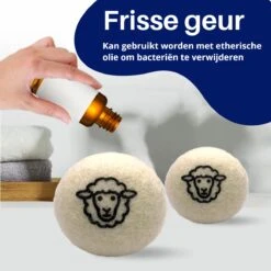 Waspakket - 6 Drogerballen - 2 Wasbollen - Maatschepje - Wasdoekje - Doseerbol - Wasbol - Doseerbollen -Schone Winkel 1200x1200 915