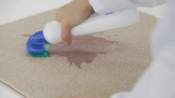 Dr. Beckmann Tapijtvlekkenborstel - Tapijtreiniging - Tapijt Vlekverwijderaar Met Borstel - Schoon Tapijt - Dierenvlekkenverwijderaar -Schone Winkel 1200x674