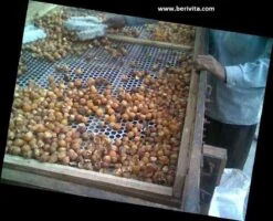 Wasnoten Start 150gr Met Waszakje - Zeepnoten - Natuurlijk Wassen -Schone Winkel 1200x973 1