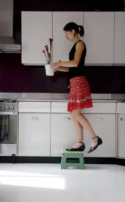 PUHLMANN - Inklapbare Kruk, JAMES, Plastic, Groen, 22 Cm Hoog, Max 100kilo 14 PUHLMANN - Inklapbare Kruk, JAMES, Plastic, Groen, 22 Cm Hoog, Max 100kilo -Schone Winkel 746x1200 1